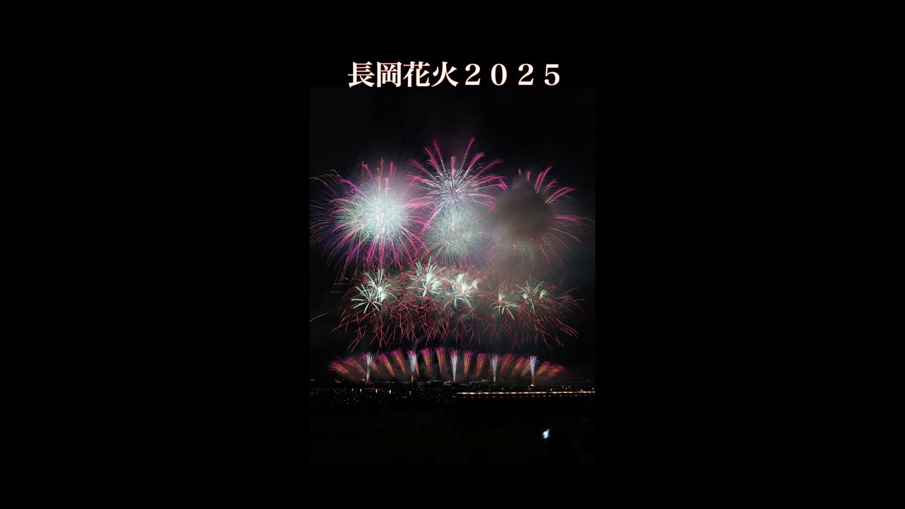 【総集編】長岡花火2025 縦撮りハイライト