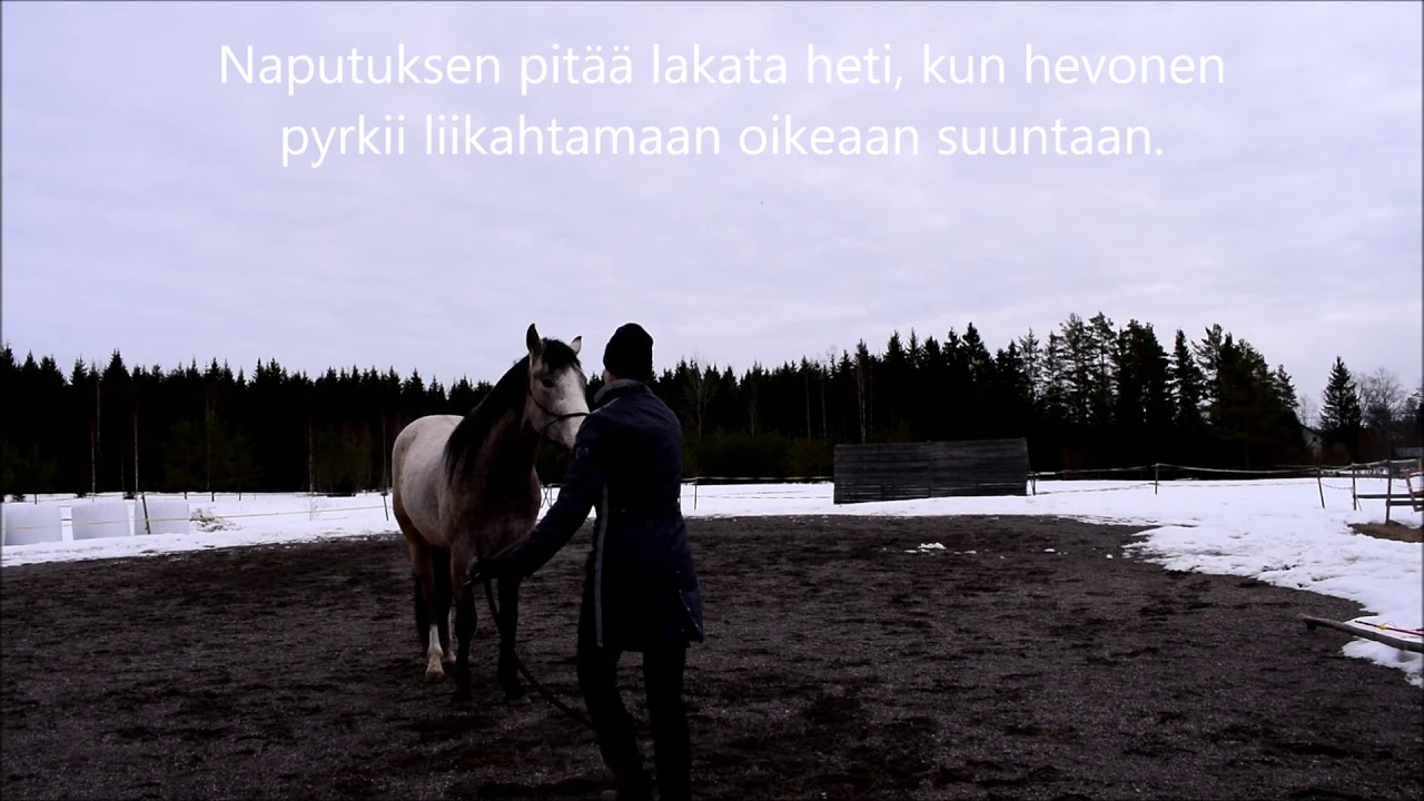 yhden ohjan pys&auml;ytyksen opettaminen osa 1