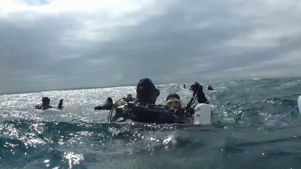 Mass dive on the Missouri for BSAC's Diamond anniversary.