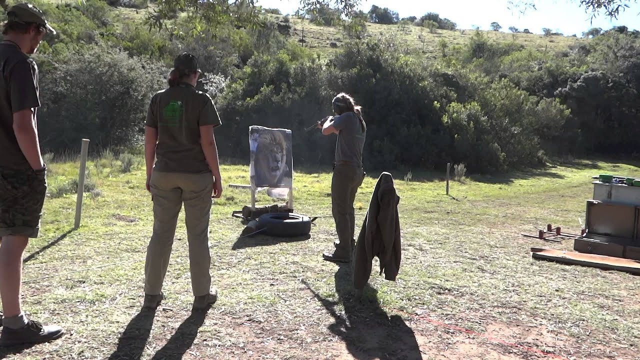 Lion Charge Simulation