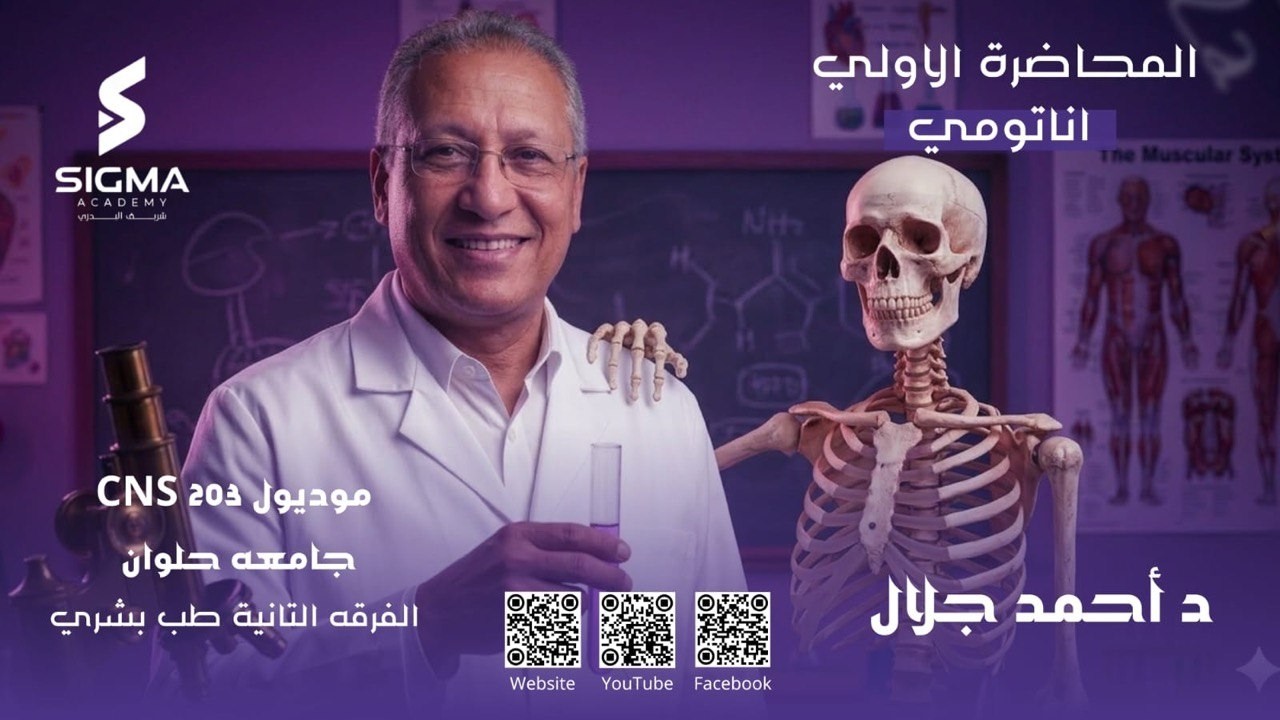 المحاضره الاولي اناتومي د/ أحمد جلال  للفرقه التانية بشري حلوان ( CNS 203 )