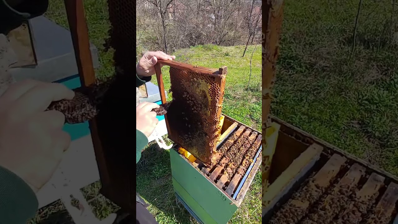 Prvo prolećno proširivanje nemačka tehnika rada sa termo daskama 10deo.