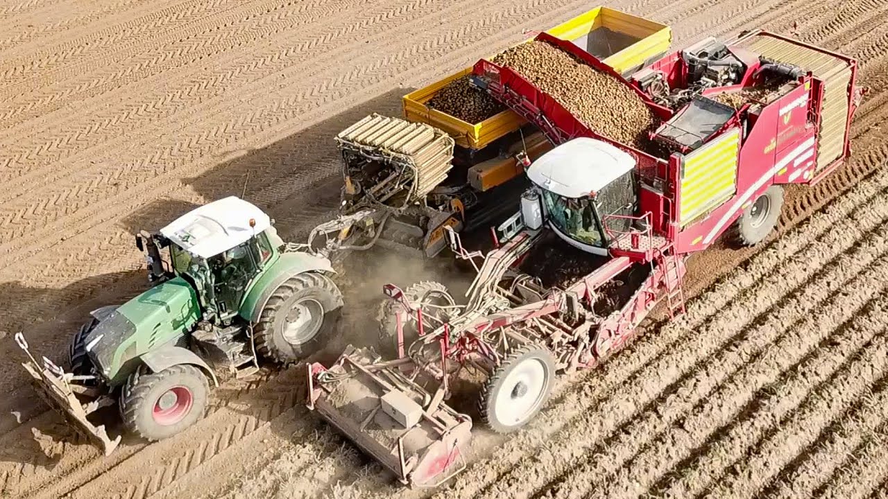 Kartoffelernte 2022 mit einem Grimme Varitron 470 + Fendt 930 Vario mit Brettmeister Überladewagen