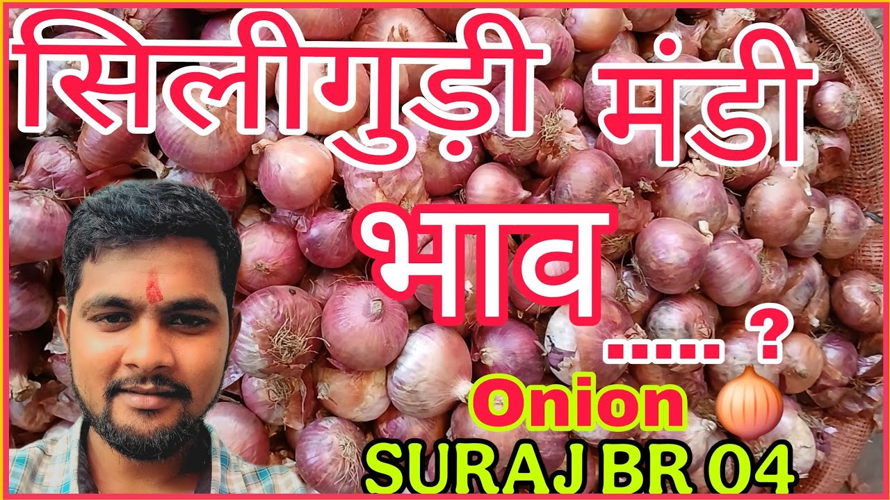 देखिए नया  onion Indore का  new #onion #indore #siliguri #onion