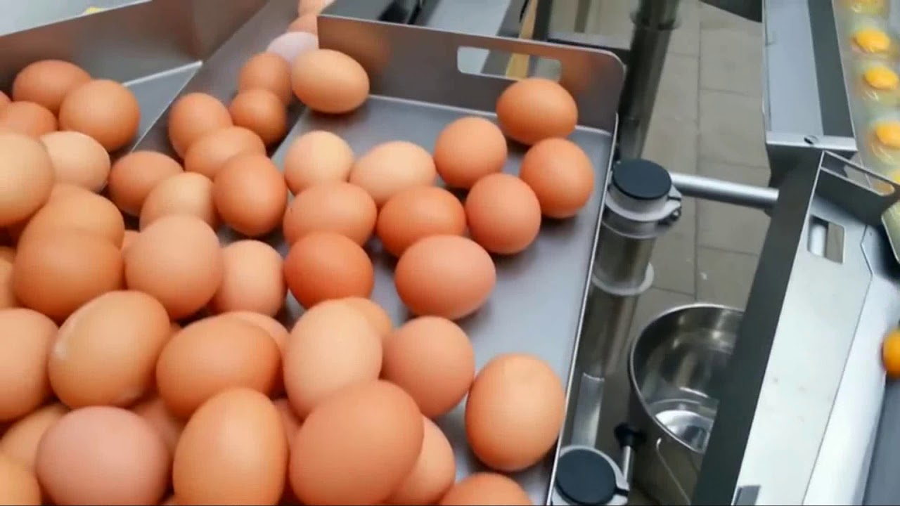 ABREX: toj&aacute;st&ouml;rő g&eacute;p, s&aacute;rg&aacute;ja-feh&eacute;rje sz&eacute;tv&aacute;logat&aacute;ssal