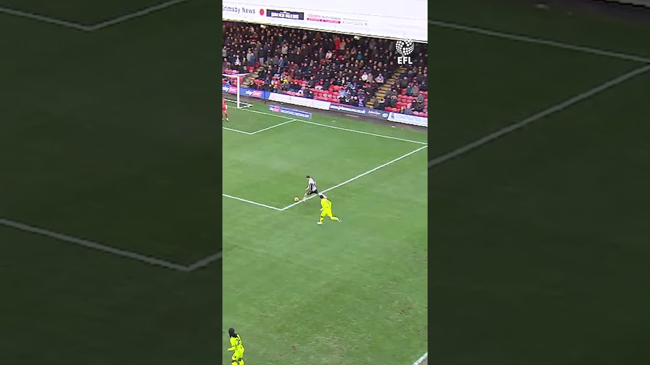 Seagull gets a touch in EFL game!