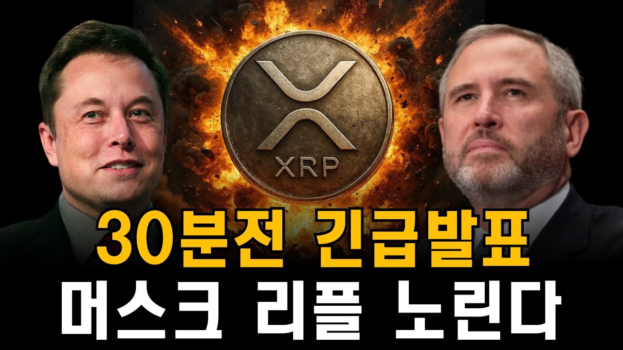 일론 머스크가 리플을 원하는 이유!