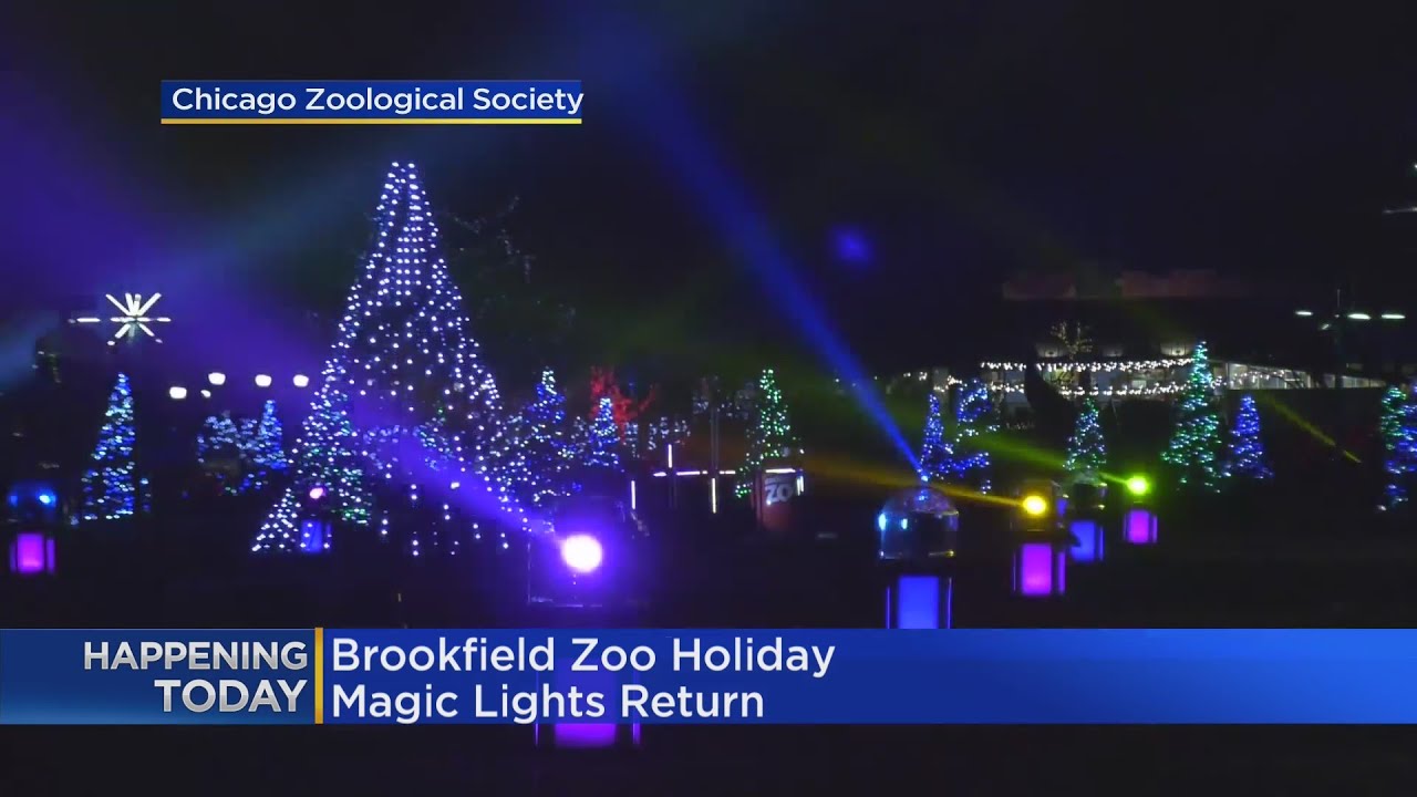 Holiday Magic lights return to Brookfield Zoo