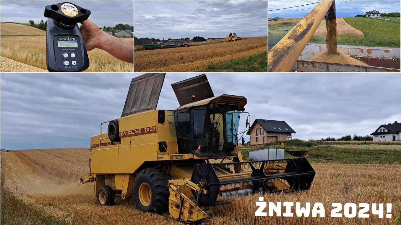 Żniwa 2024❗️ Jęczmień ozimy❗️New Holland TX32 Zetor ZTS 16245❗️