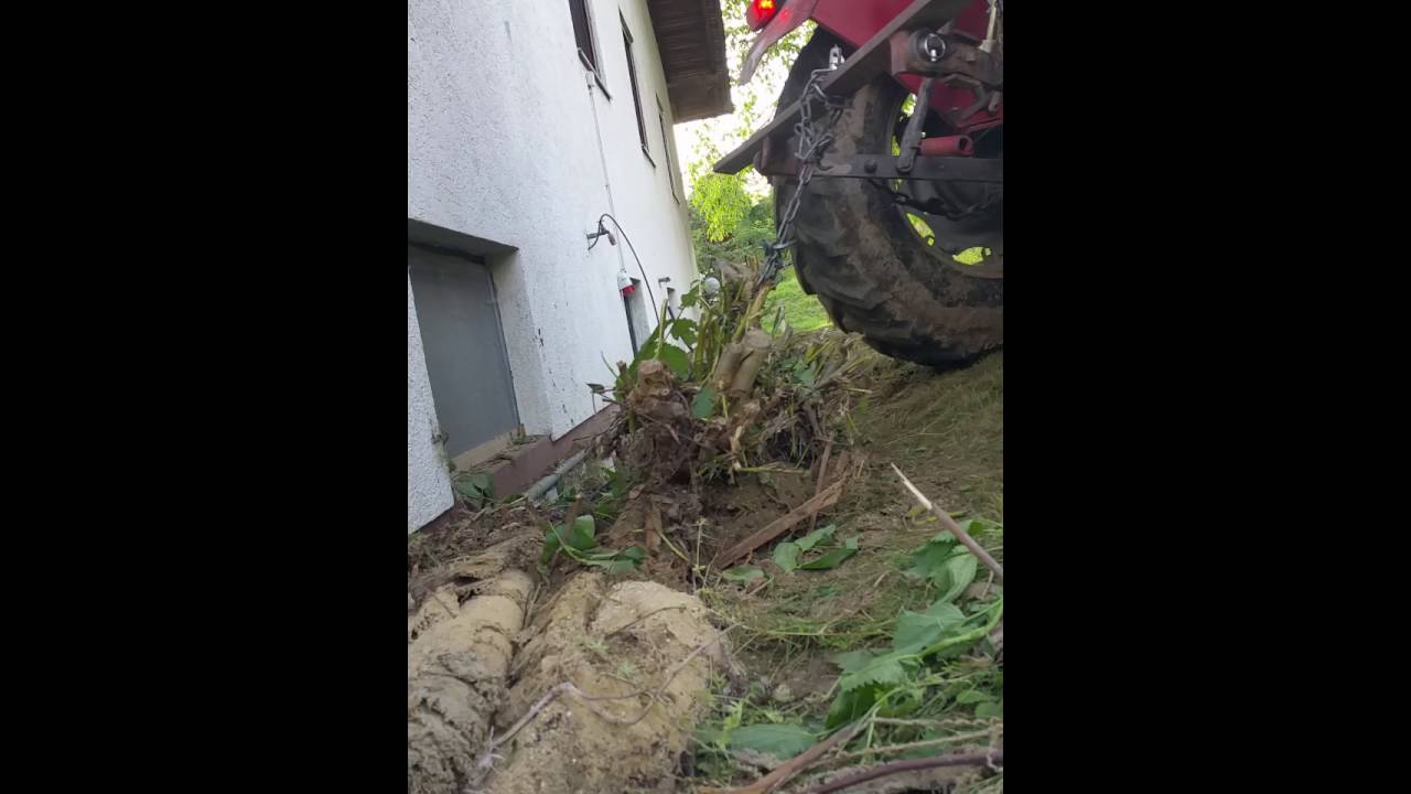 MANBBYT MF 274A zieht Baumstumpf raus