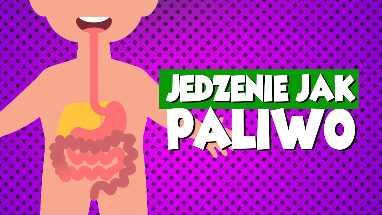 Jak działa człowiek JUNIOR #TRAWIENIE (tłumaczenie PJM)