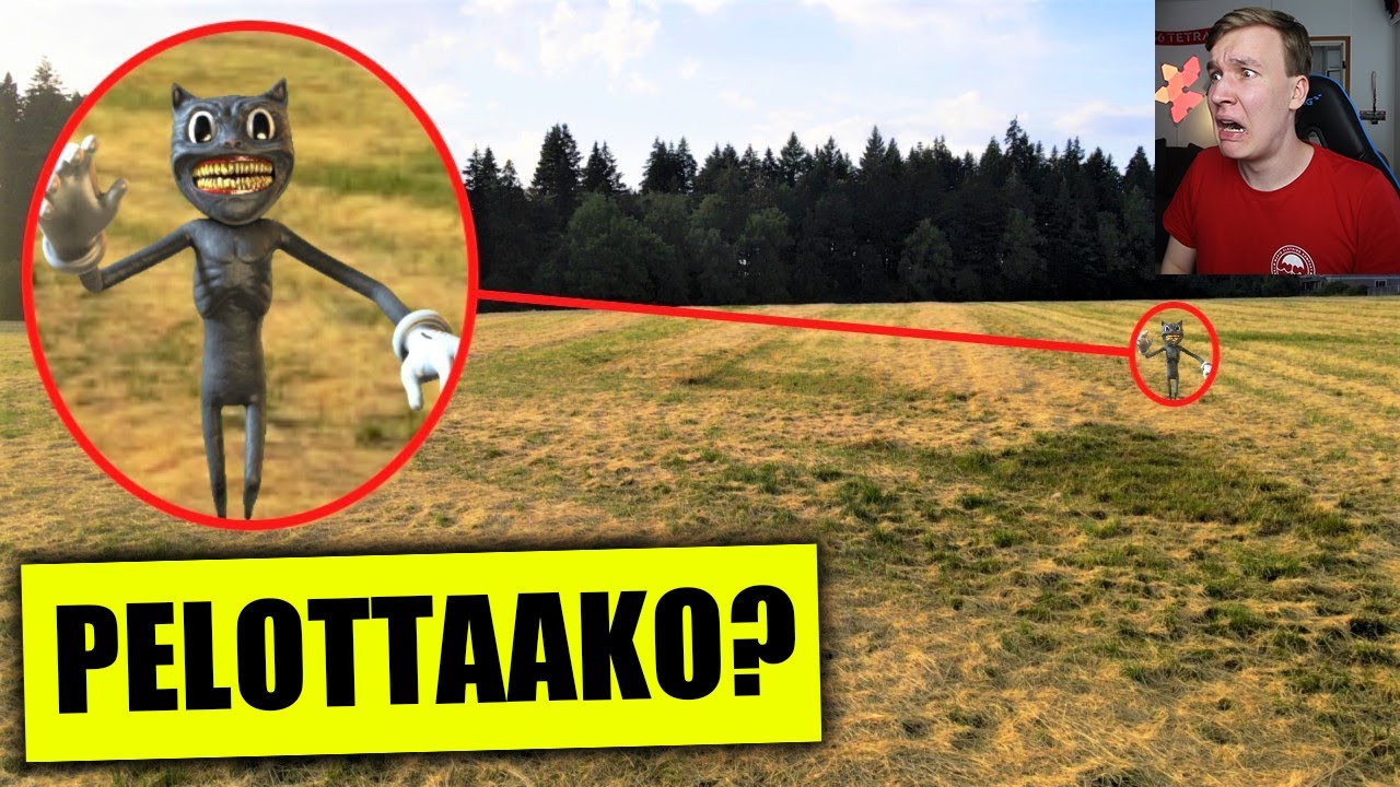 Onko tämä Cartoon Cat AITO?