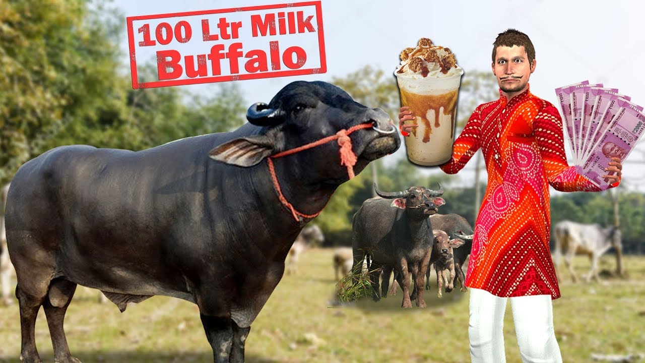 लालची सुपर भैंस दूध Super Buffalo Milk Funny Comedy Video  Hindi