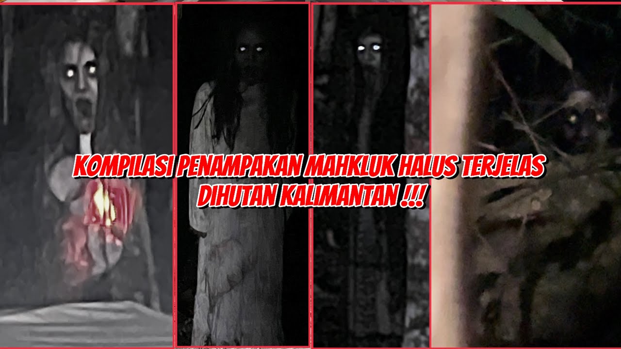 HORROR! KUMPULAN PENAMPAKAN NYATA DIDALAM HUTAN !!!