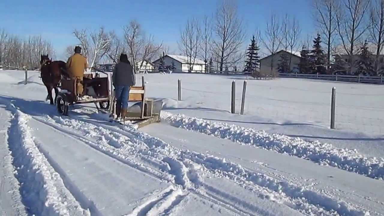 Horse drawn snow plow