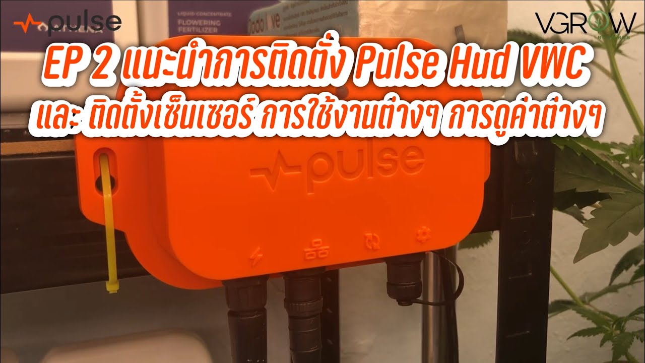 Pulse Hud VWC KIT EP2 การติดตั่ง เซ็นเซอร์ และการใช้งาน ดูค่าต่างของ เซ็นเซอร์ #PulseGrow