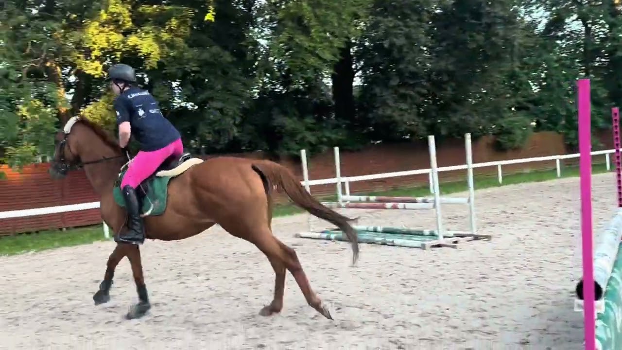 TRENING SKOKOWY NA GREENIE 🙃