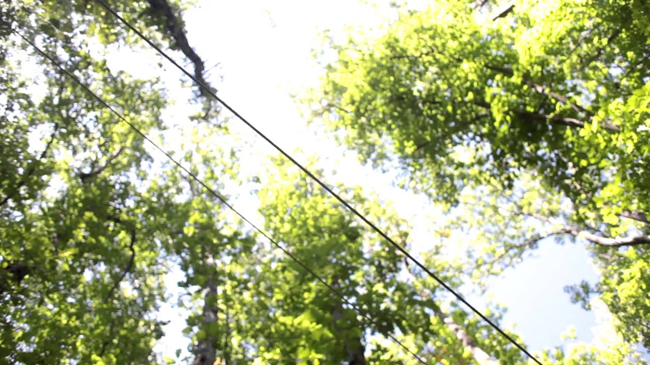 More than a bike - Martin Angelov - Kolelinia