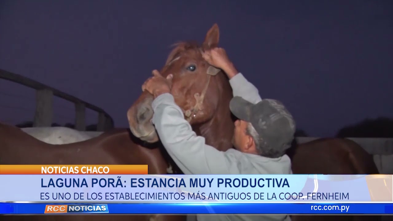 Laguna Por&atilde;  Una estancia muy productiva