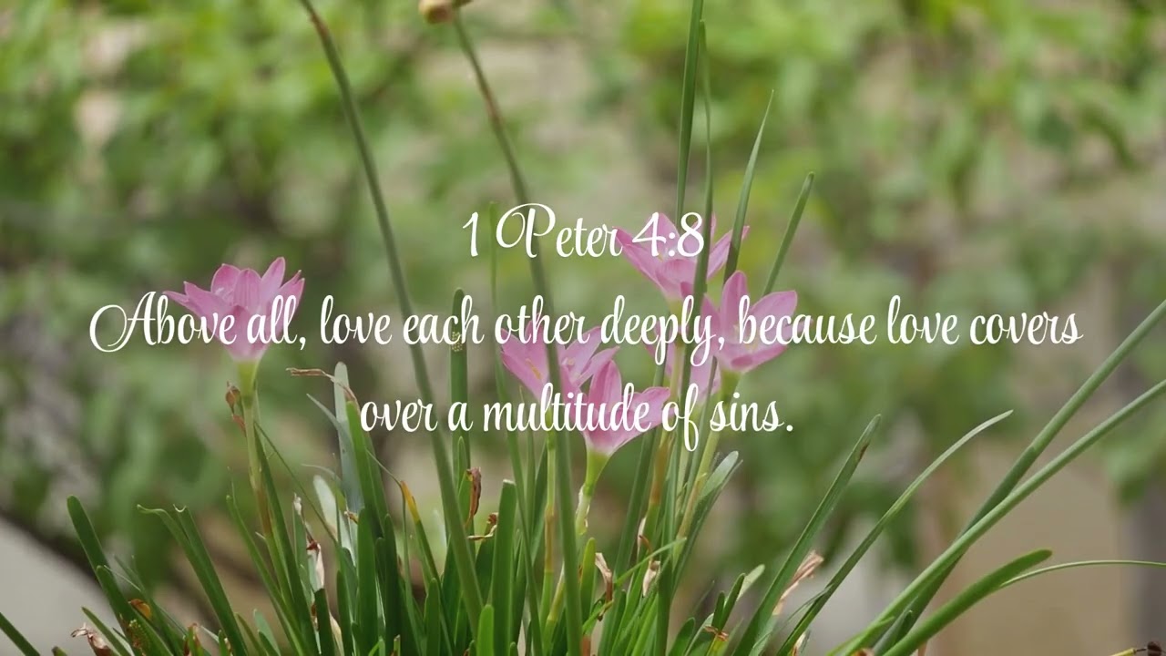 Prayer - 1 Peter 4:8