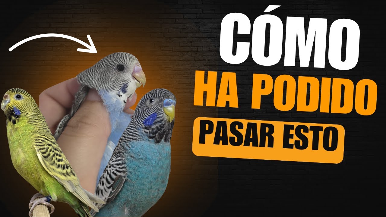 ¿ La genética me la ha jugado ? En el vídeo te lo explico