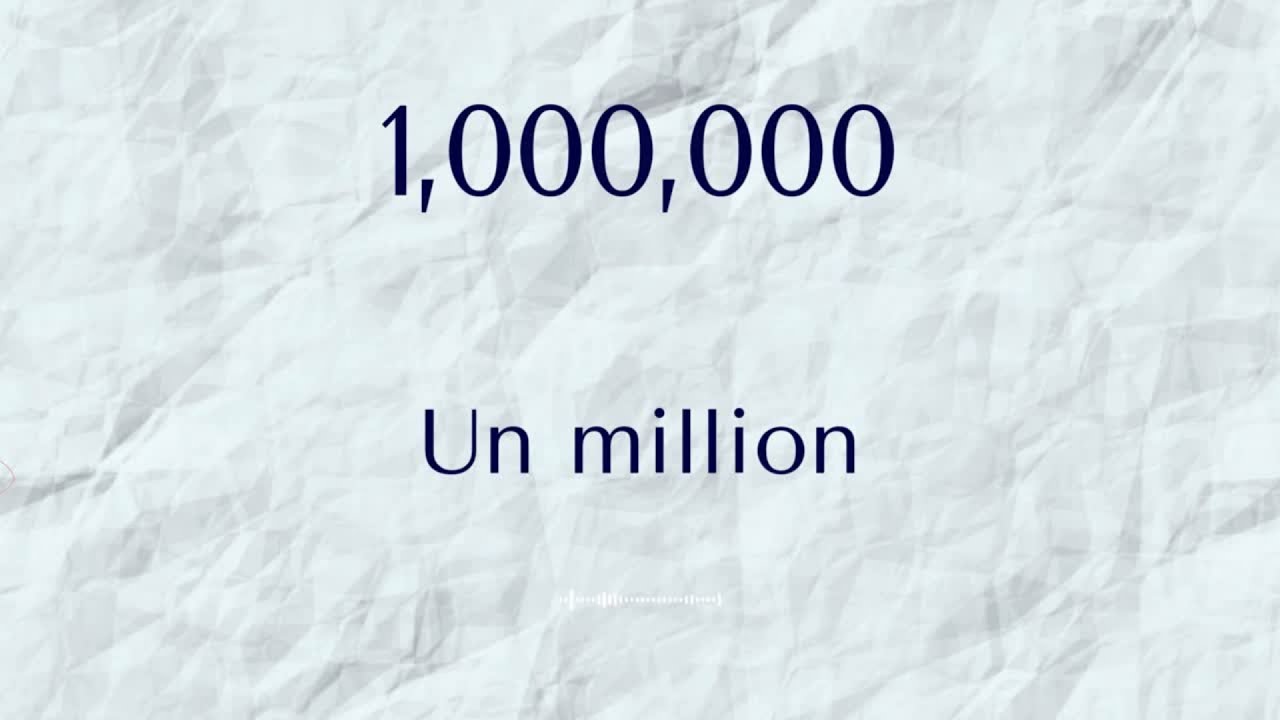 Le '1,000,000' Français / The French '1,000,000'
