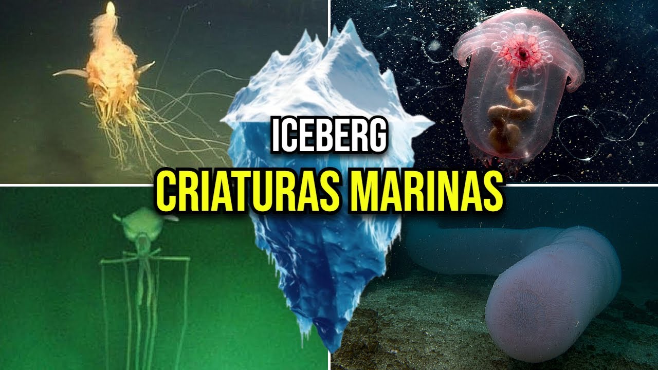 EL ICEBERG de las CRIATURAS MARINAS más EXTRAÑAS y MISTERIOSAS