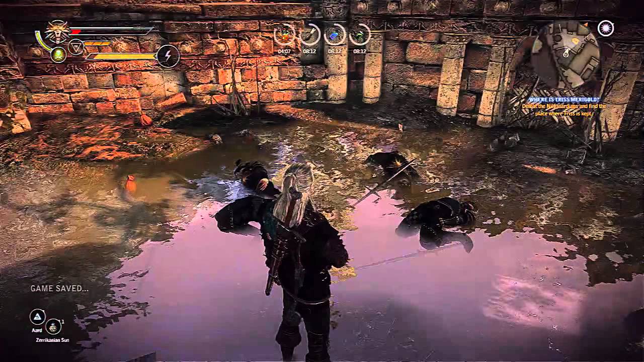The Witcher 2 Combat (DARK MODE / NO QUEN)