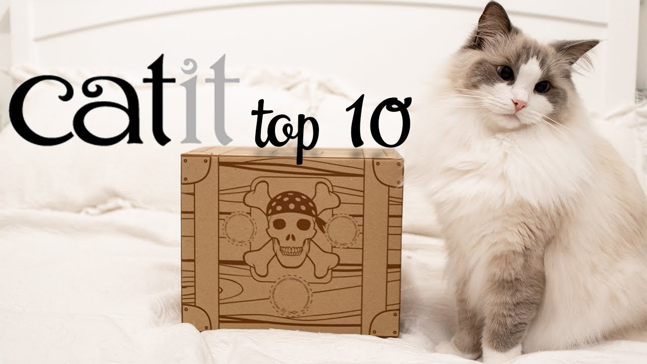 𝙲𝚊𝚝𝚒𝚝 𝗧𝗢𝗣 𝟭𝟬 of 𝟸𝟶𝟸𝟶 | Best toys & accessories for cats | Ragdolls Pixie and Bluebell