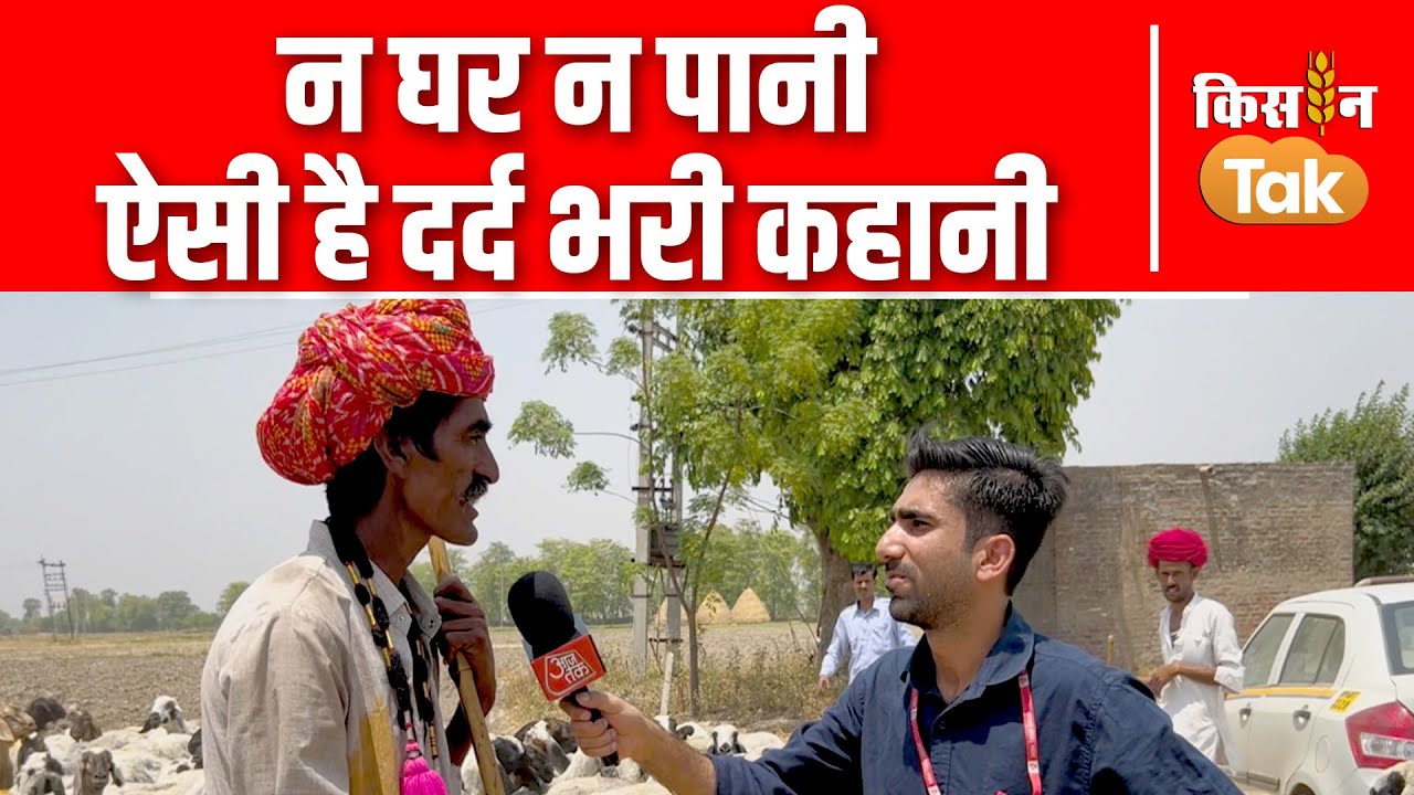 Sheep goat video:  भेड़-बकरी चराने वालों ने बताई दर्दनाक कहानी, पानी के लिए चलते हैं हजारों किलोमीटर
