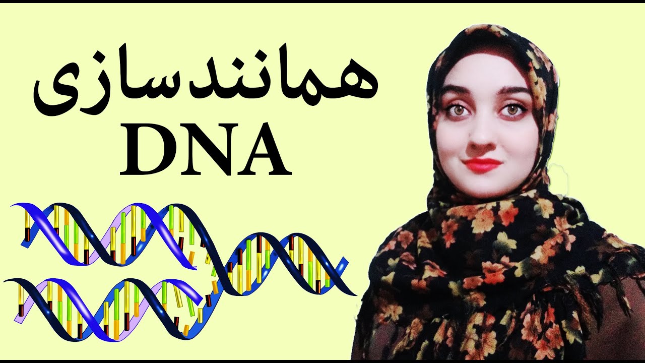 همانندسازی DNA