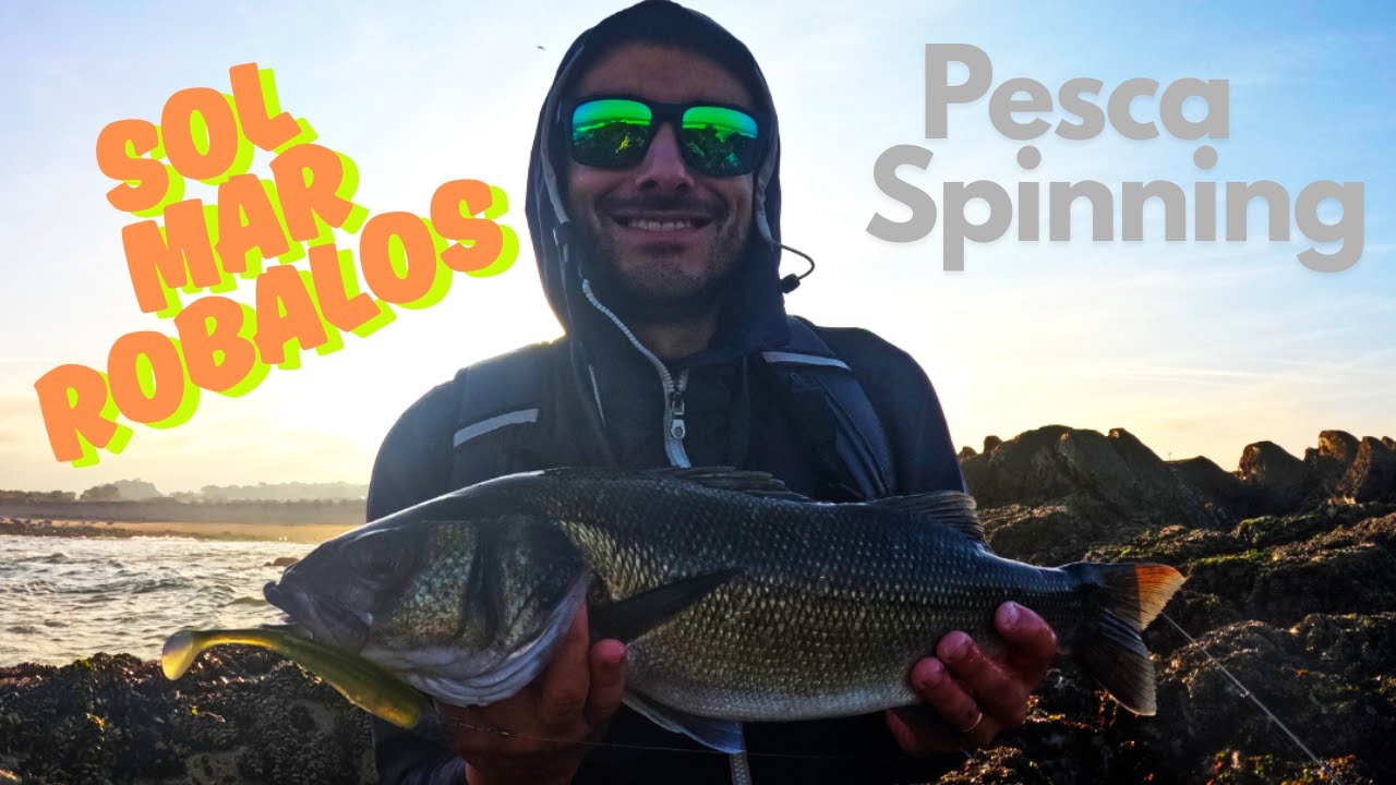 4 Robalos (SEABASS) || Muita DIversão || Pesca ao Spinning Norte Portugal