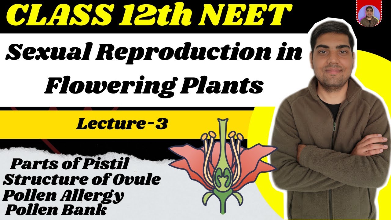 Sexual Reproduction in Flowering Plants | Class 12 Biology | Lec 3 | Pistil & Ovule Structure | NEET