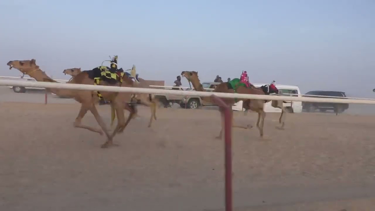 ش١ الظبي ل مطر بن ناصر الحرسوسي