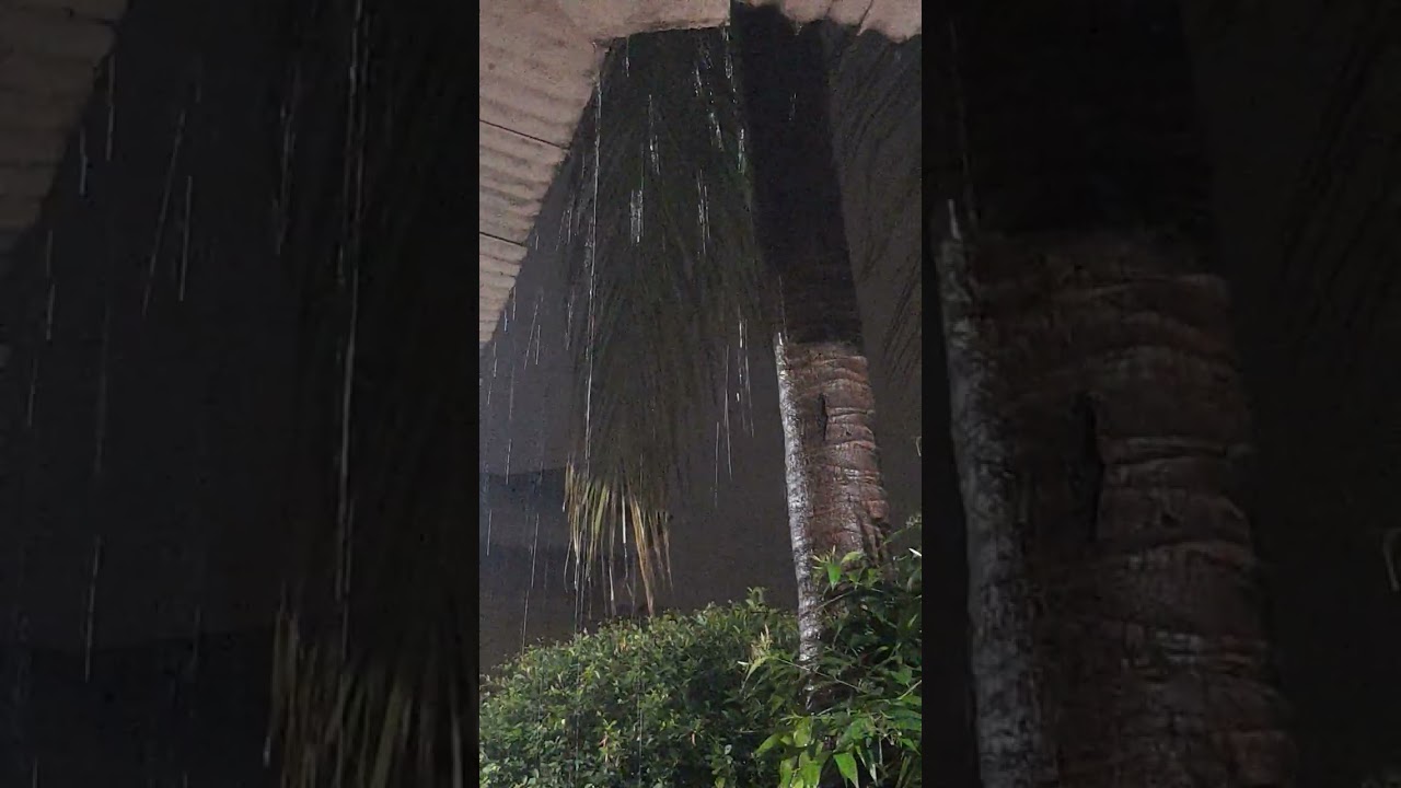 RAIN. THUNDER