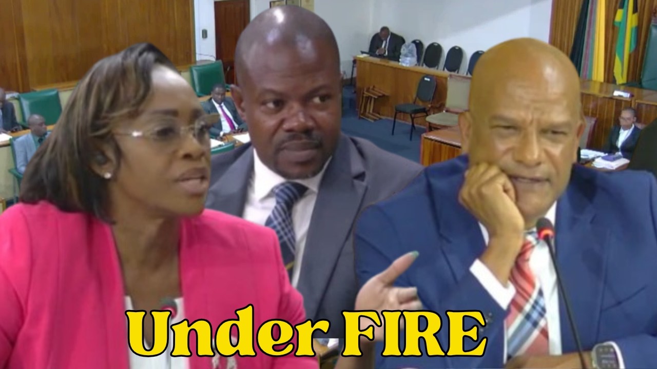 Juliet Holness and Heroy Clarke Clash With Peter Bunting During Heated Parliament Committee Meeting
