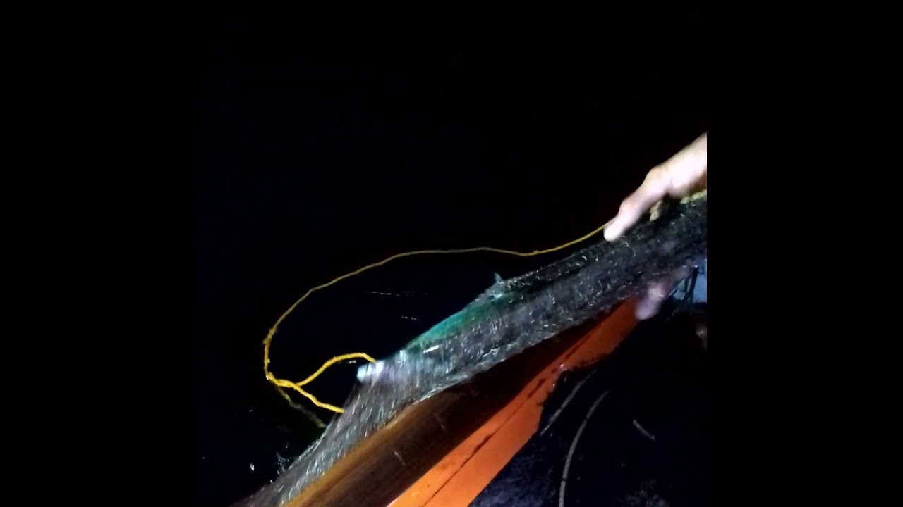 Night Fishing in Bohol....(Palaran)... daghan mi lupit Tamarong og Hasa- Hasa😱😱