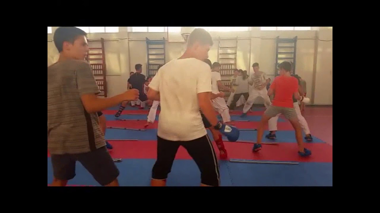 karate training 6 (archive 2017)