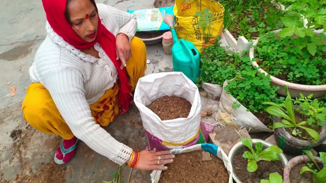 बैंगन के पौधे के लिए ऐसी मिट्टी तैयार करें #🍆🍆🌱🌱 home # garden # 🌱