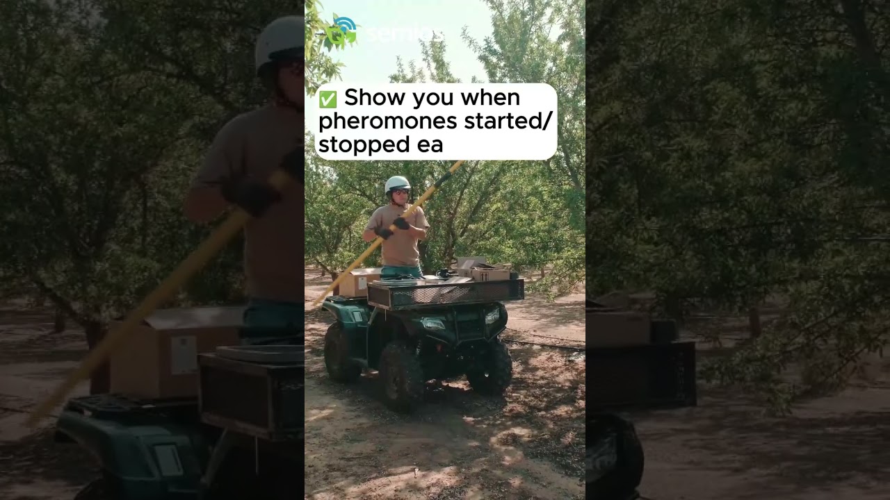 Can your mating disruption do this?  #californiaagriculture