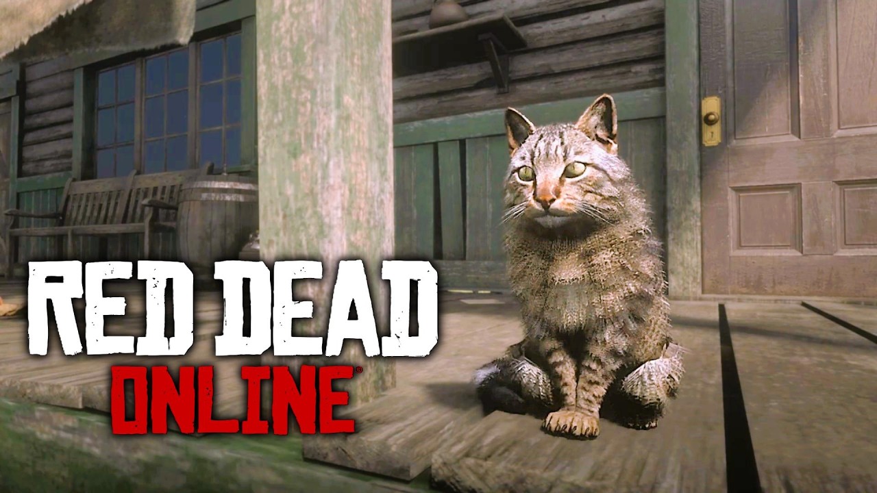 RDO:日曜日(夜之部)~3/1~💪😼✨🌛~🔯全職解放済🔯のんびり西部開拓漫遊記やてくょ⛄✨