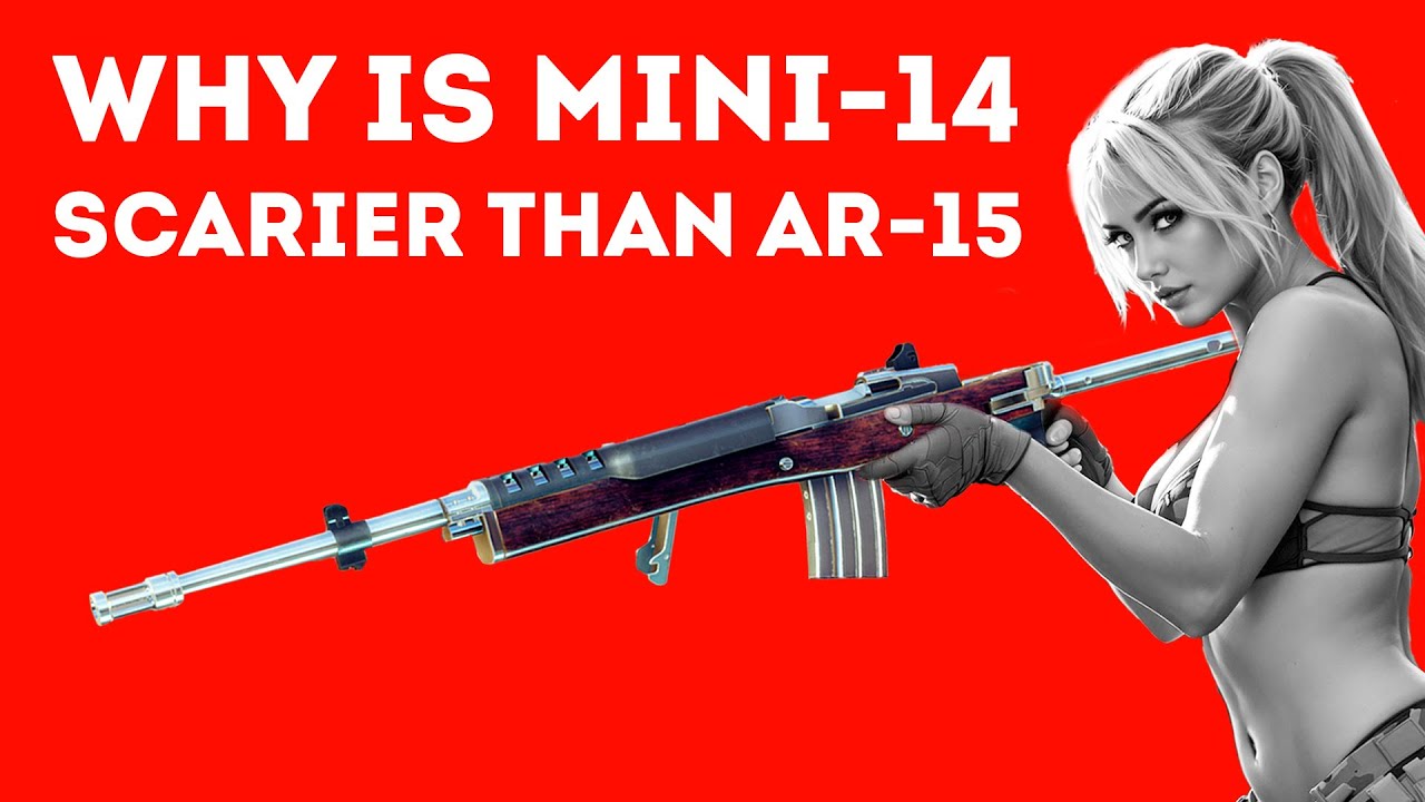 КАК МИНИ-14 РАЗДАЛА АР-15