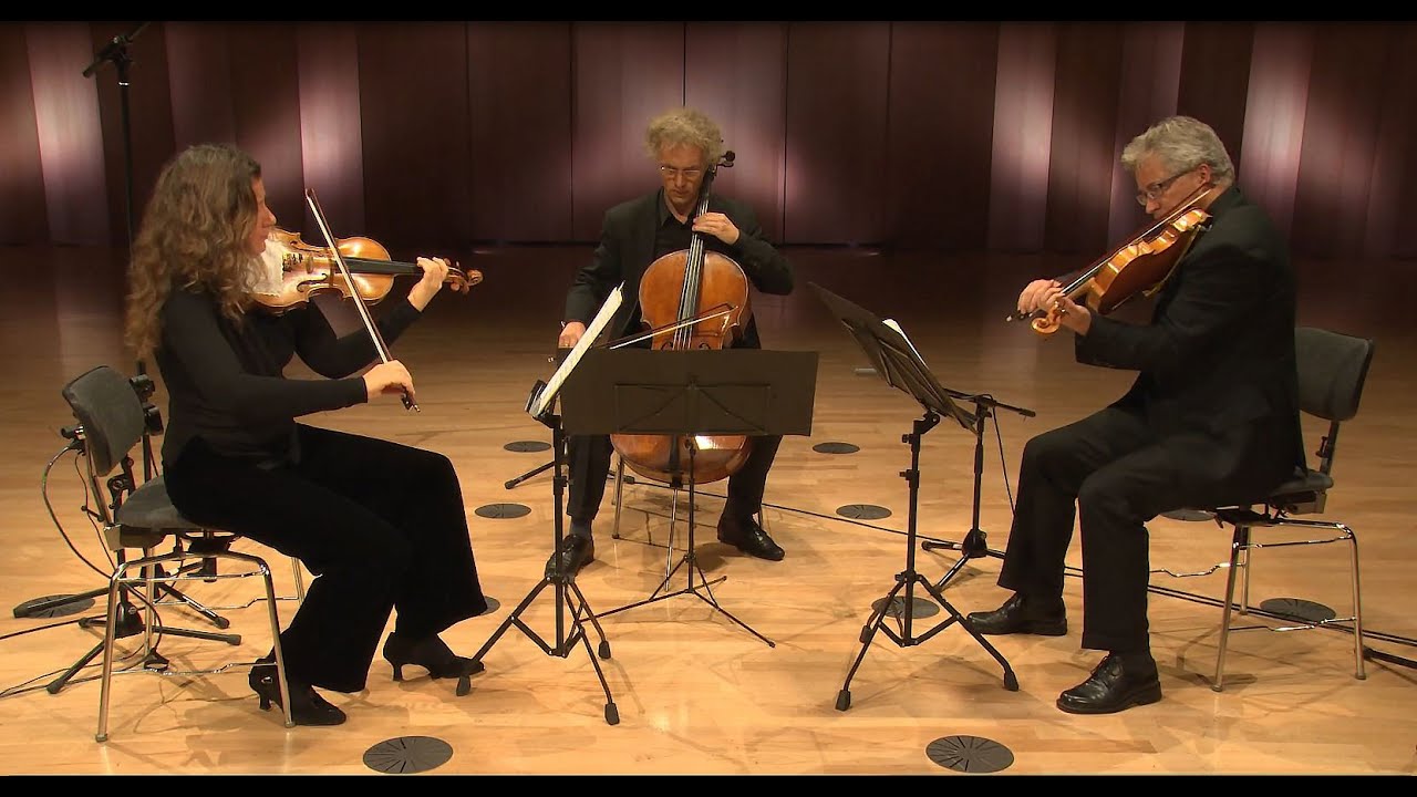 Das Philharmonische Streichtrio spielt Franz Schubert