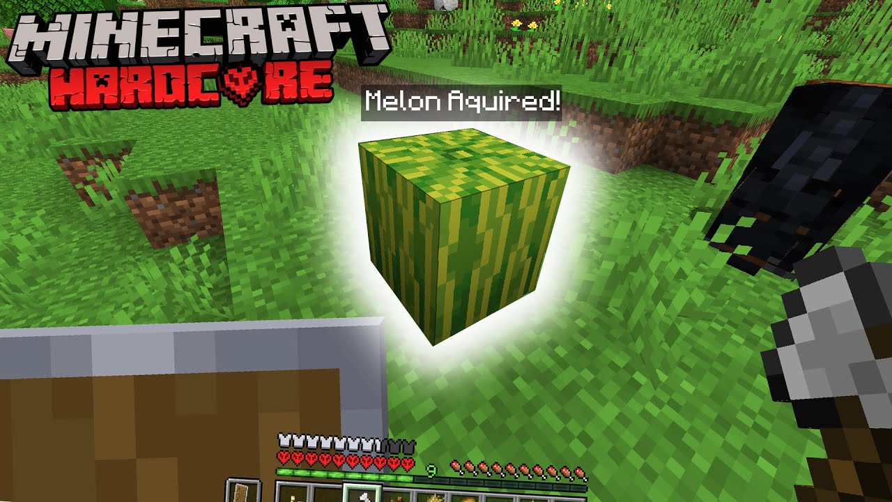 I Found THE BEST FOOD IN Minecraft Hardcore! (#4)