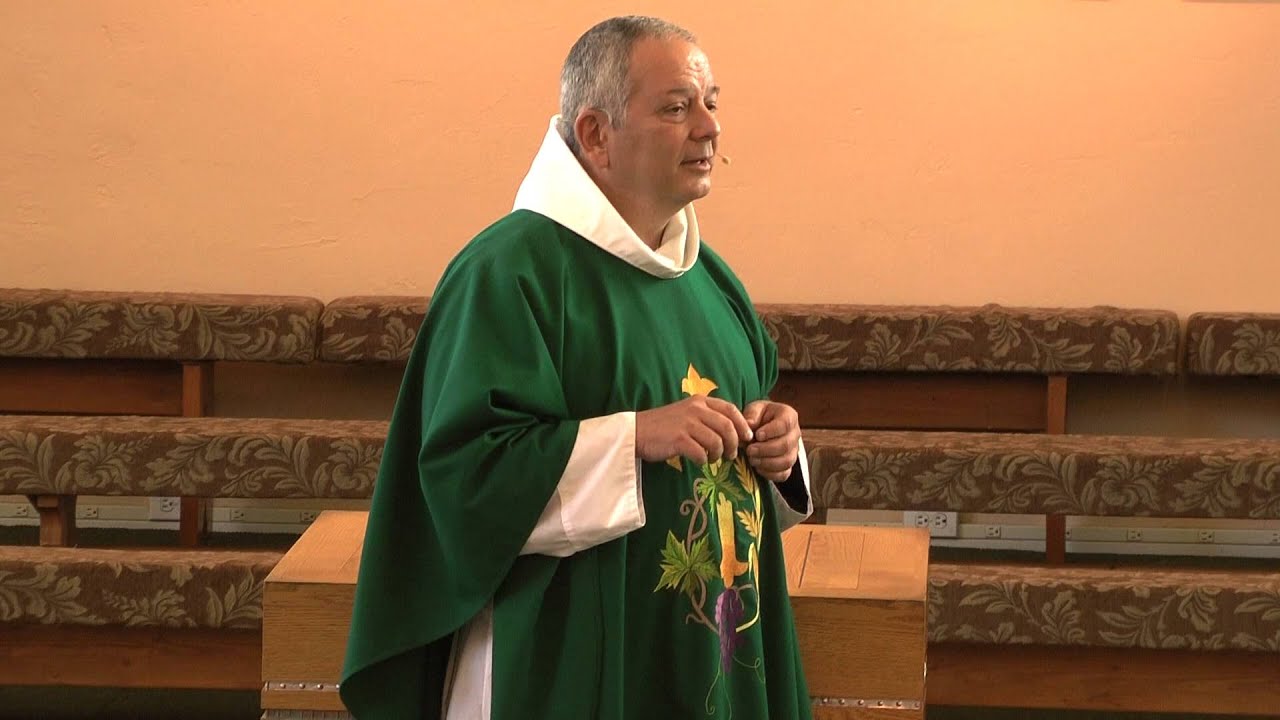 Homily 27th Sunday in Ordinary Time (Cycle C) Fr Joe Schwab