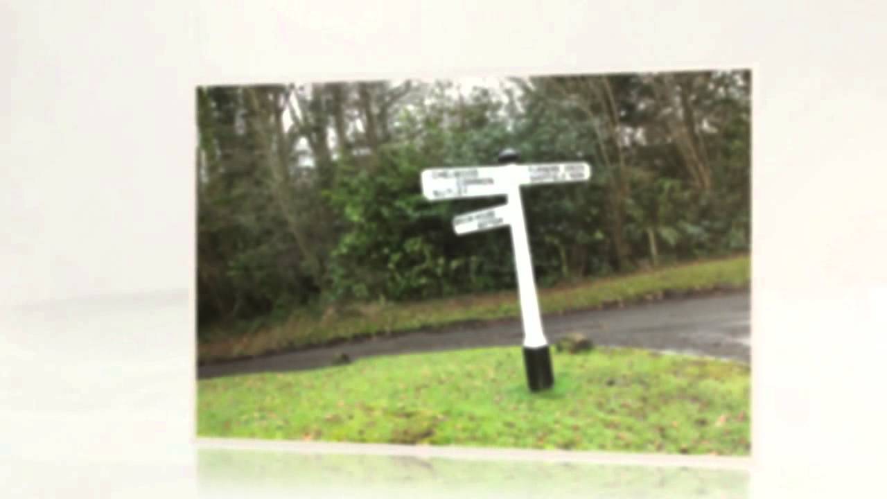 We love the Ashdown Forest