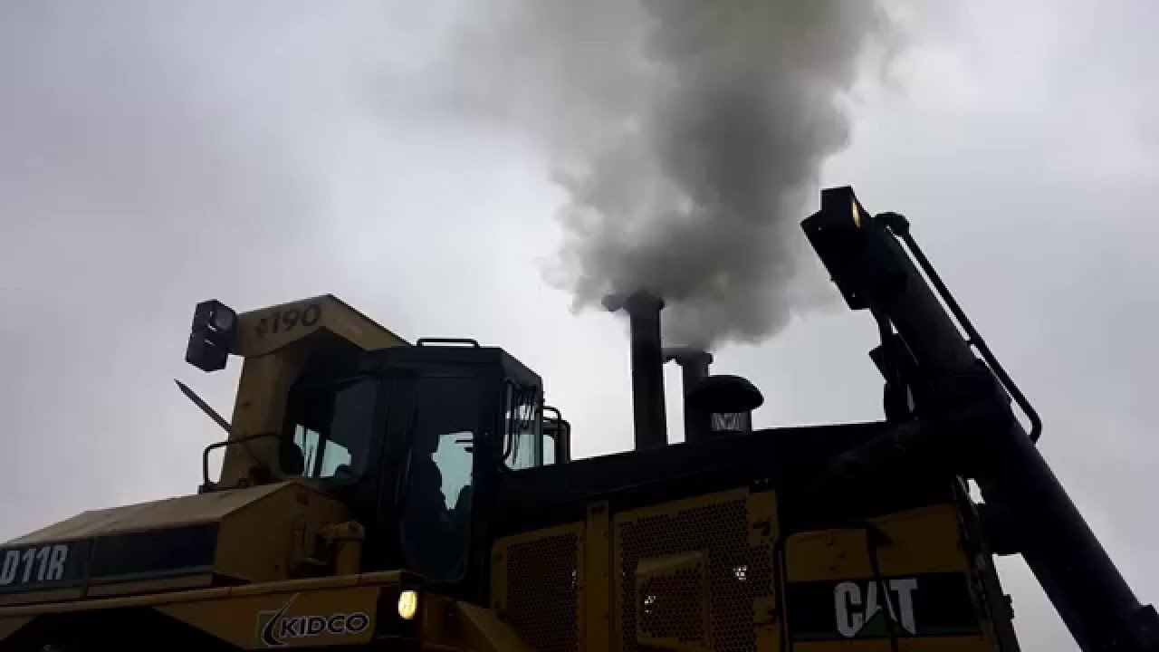 The Sweet Sounds Of A Cold Caterpillar D11...