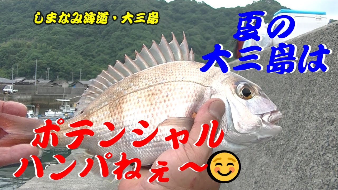 しまなみ海道・大三島　２カ月ぶりの出張序でに夏のしまなみ海道を堪能してきました。