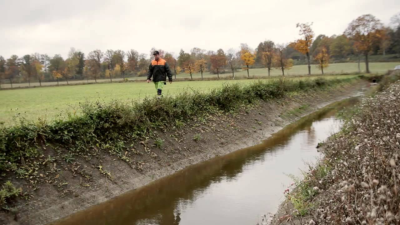 Fosfordammar - Hur Var Varför