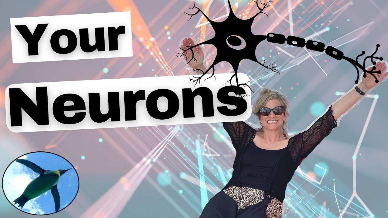 Intro to NEURONS | A&P Basics 🐧🧠